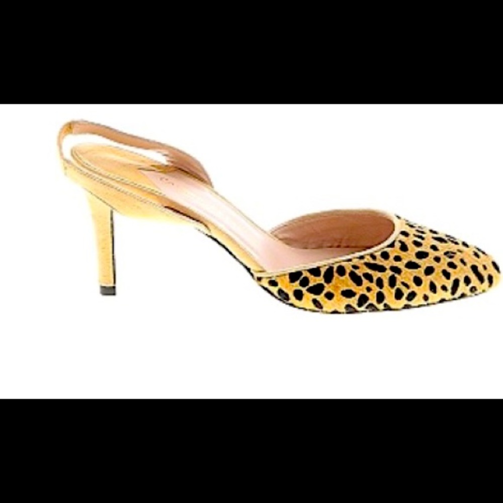 Carmen Salas calf cheetah print